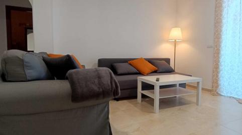 Foto 4 de Pis de lloguer a Calle Cuatro Cantillos, -1, El Bebedero - Pinolere - Aguamansa, Santa Cruz de Tenerife