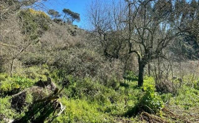 Terreno en Venta en Camino de los Franciscanos en San Francisco