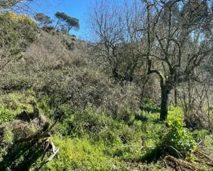 Land for sale in Ourense Capital 