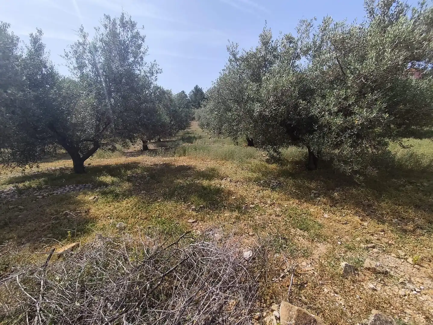 Houses for sale in Turís  with Private garden, Terrace and Storage room