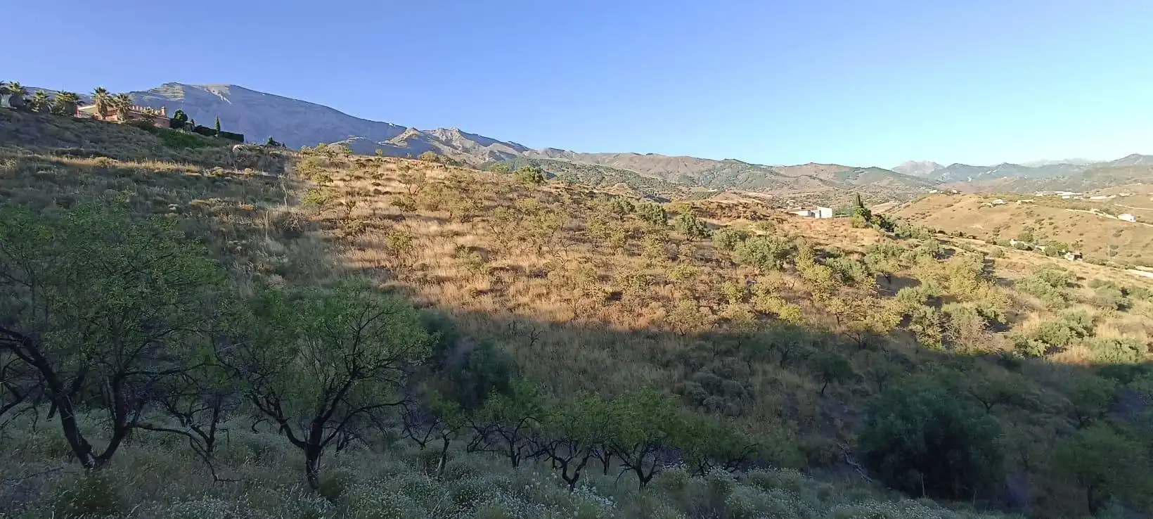Terreno rústico en venta en Sedella