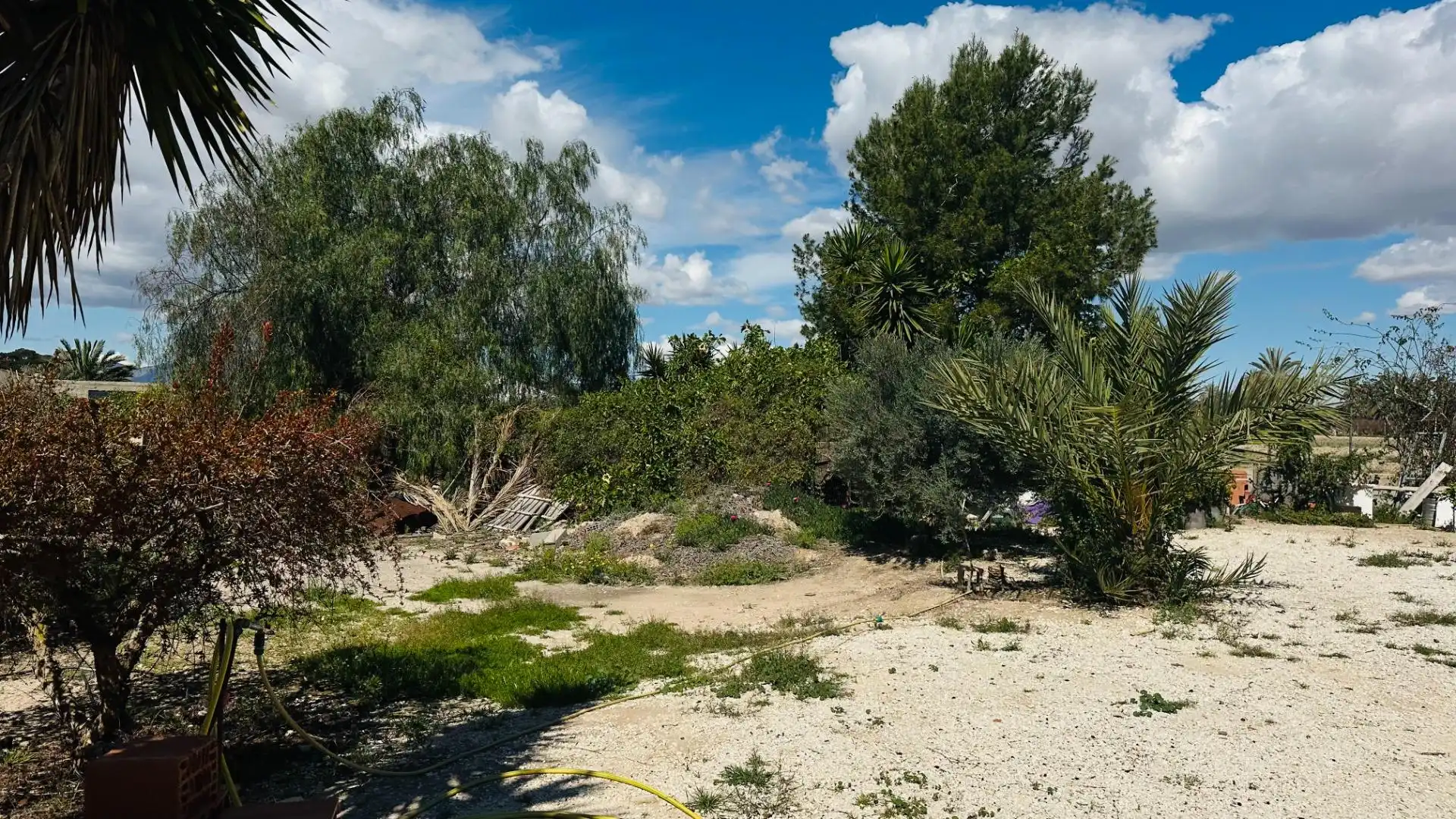 Casa o xalet en venda en Elche / Elx amb Jardí privat, Traster i Piscina