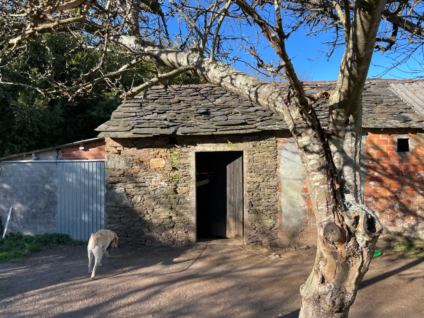 Casa o xalet en venda a Aranga