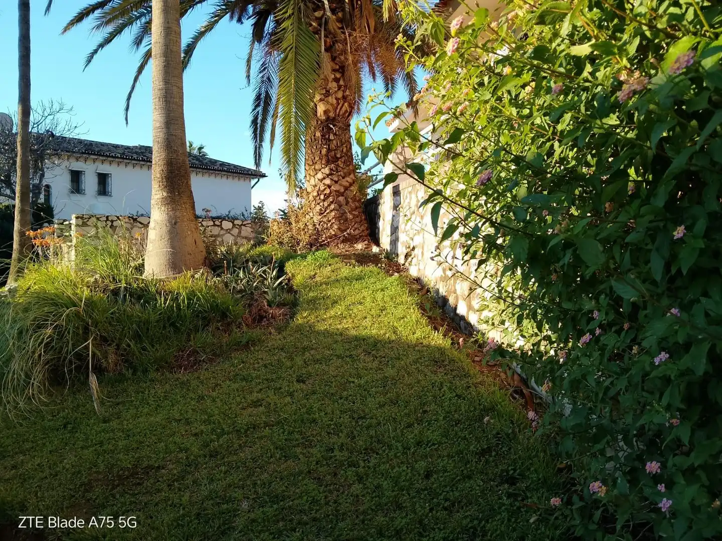 Villa avec piscine à vendre à Campo de Mijas, imagen 18