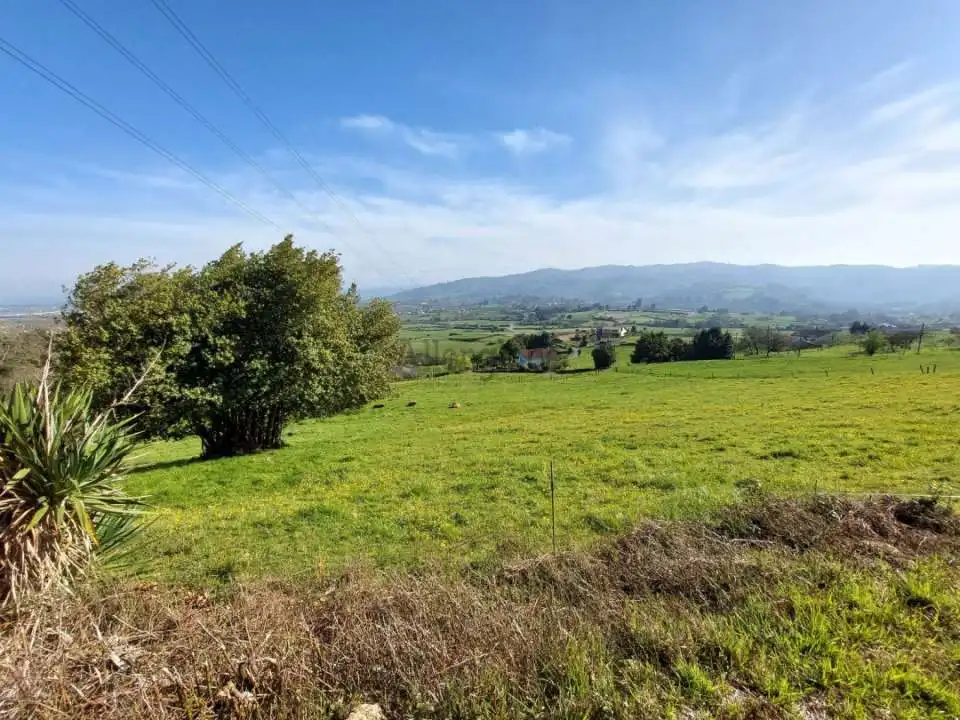 Casa o chalet en venta en Llanera