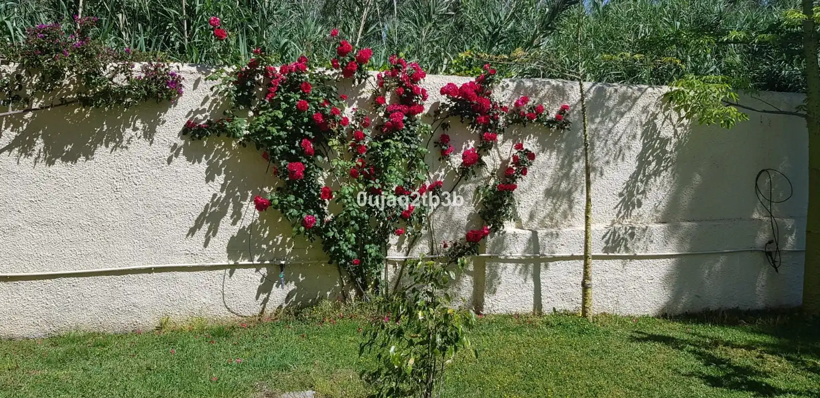 Villa mit Terrasse zum Verkauf in Avenida de las Palmeras 1, imagen 22