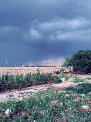 Terreno en Venta en Terrenos Poligono en Valdetorres de Jarama