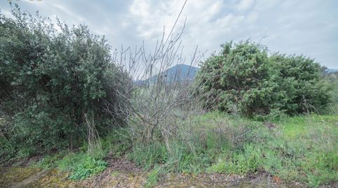 Foto 2 de Residencial en venta en El Tiemblo , Ávila