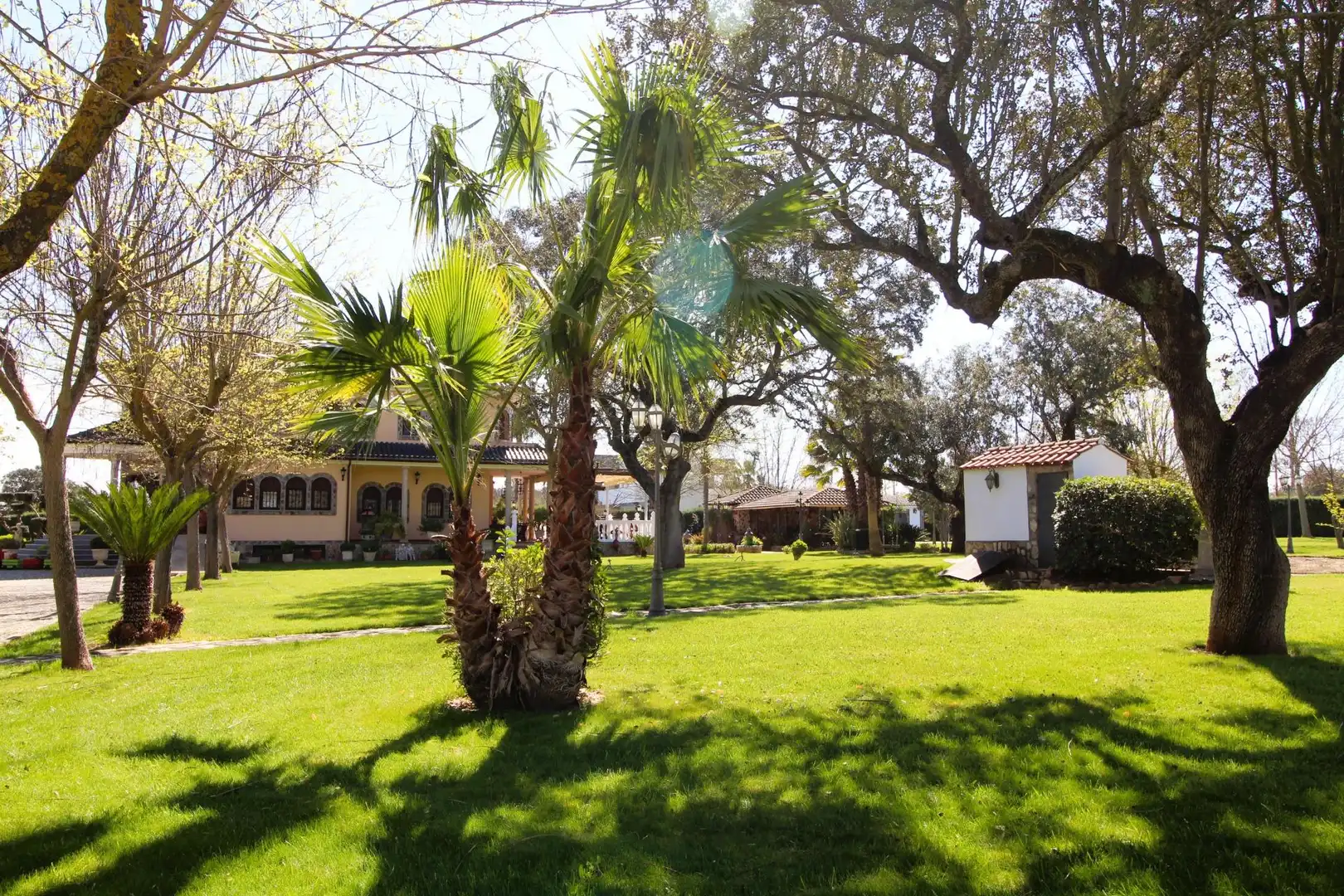 Casa con piscina en venta en Carretera de Sevilla - Los Montitos, imagen 50