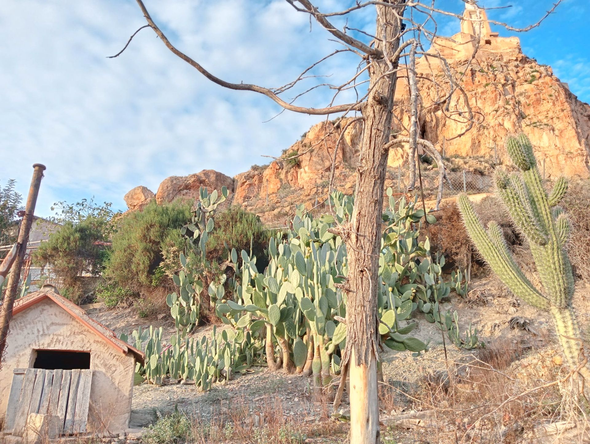 Jardín de Casa o chalet en venta en  Murcia Capital con Trastero