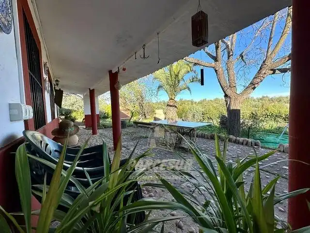 Jardín de Finca rústica en venta en Adamuz