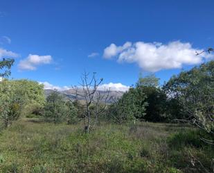 Land for sale in Cuacos de Yuste