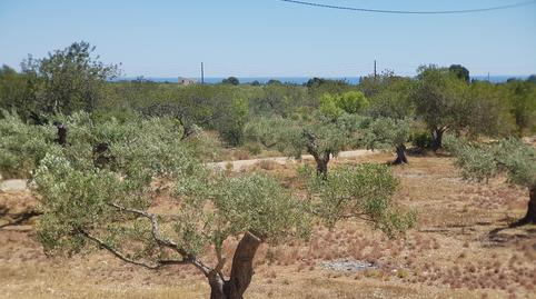 Foto 5 von Country house zum Verkauf in L'Ametlla de Mar pueblo, L'Ametlla de Mar