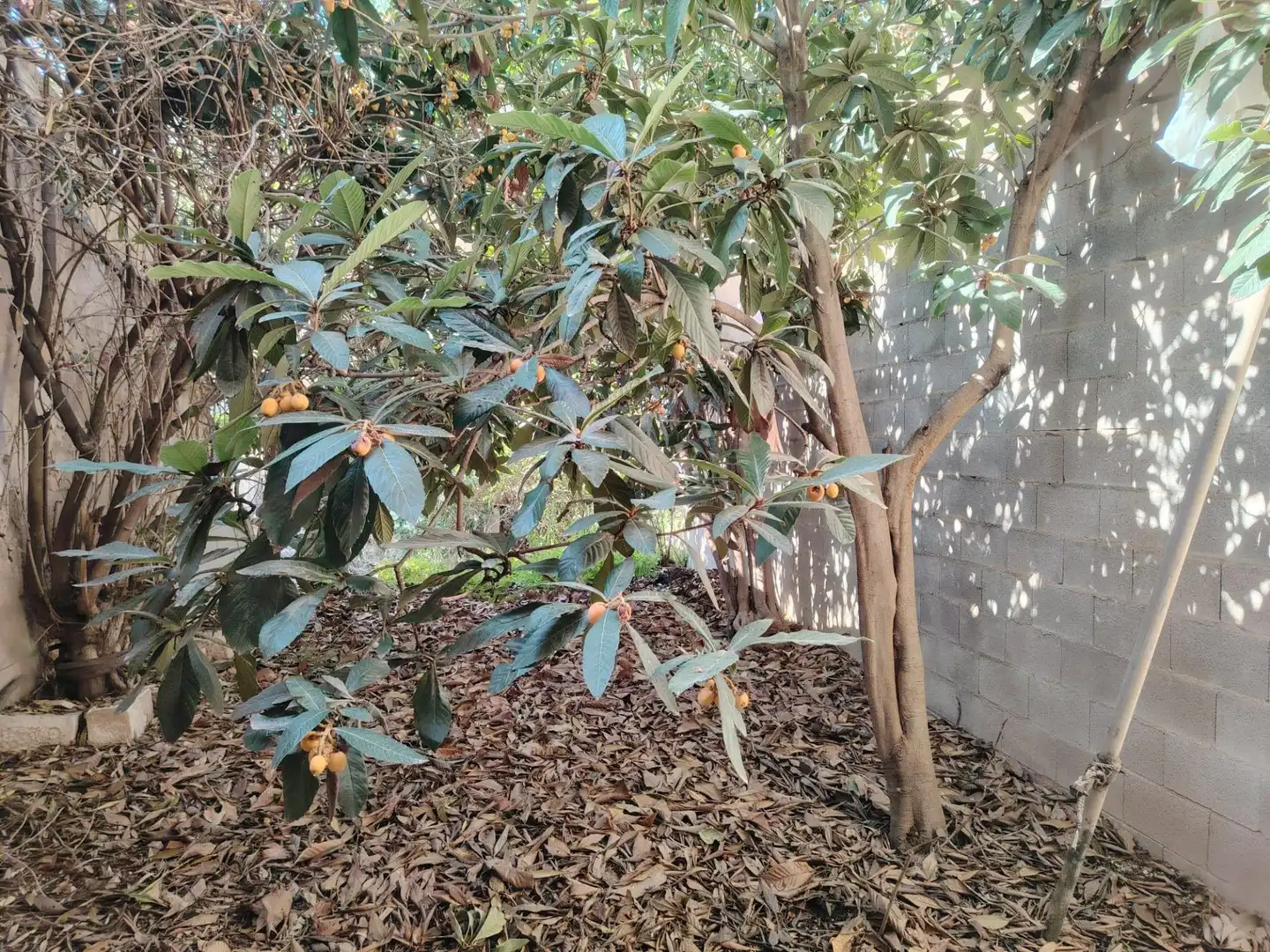 Casa en venda a El Pinós / Pinoso, imagen 10