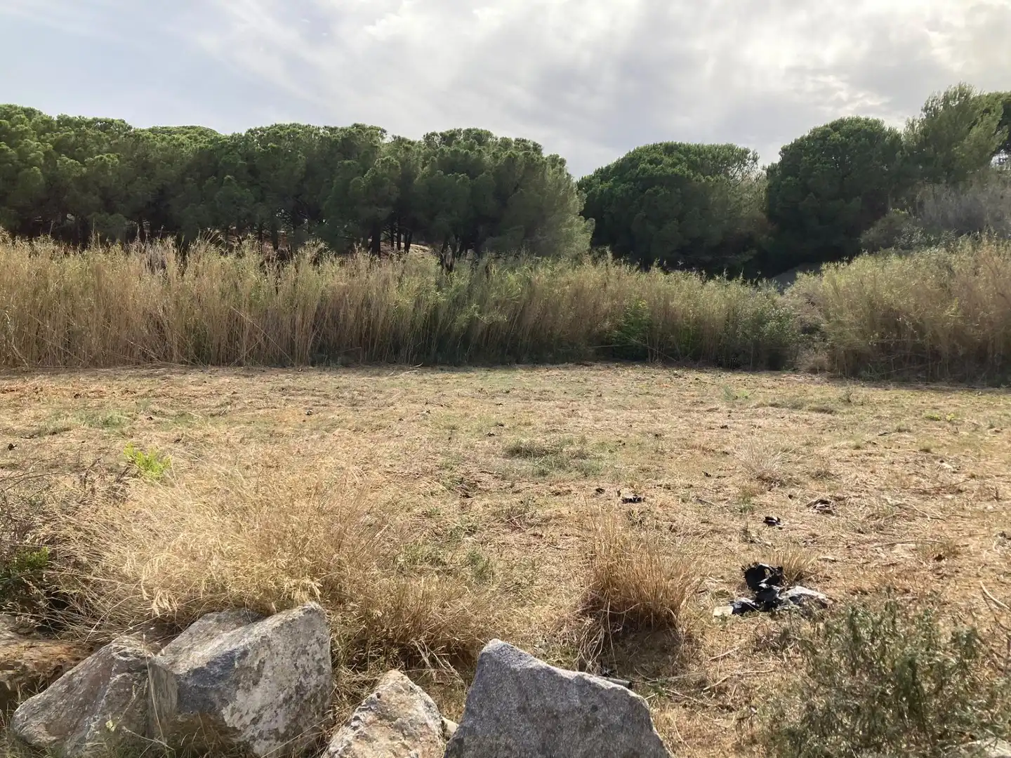 Terreno en venta en Pineda de Mar