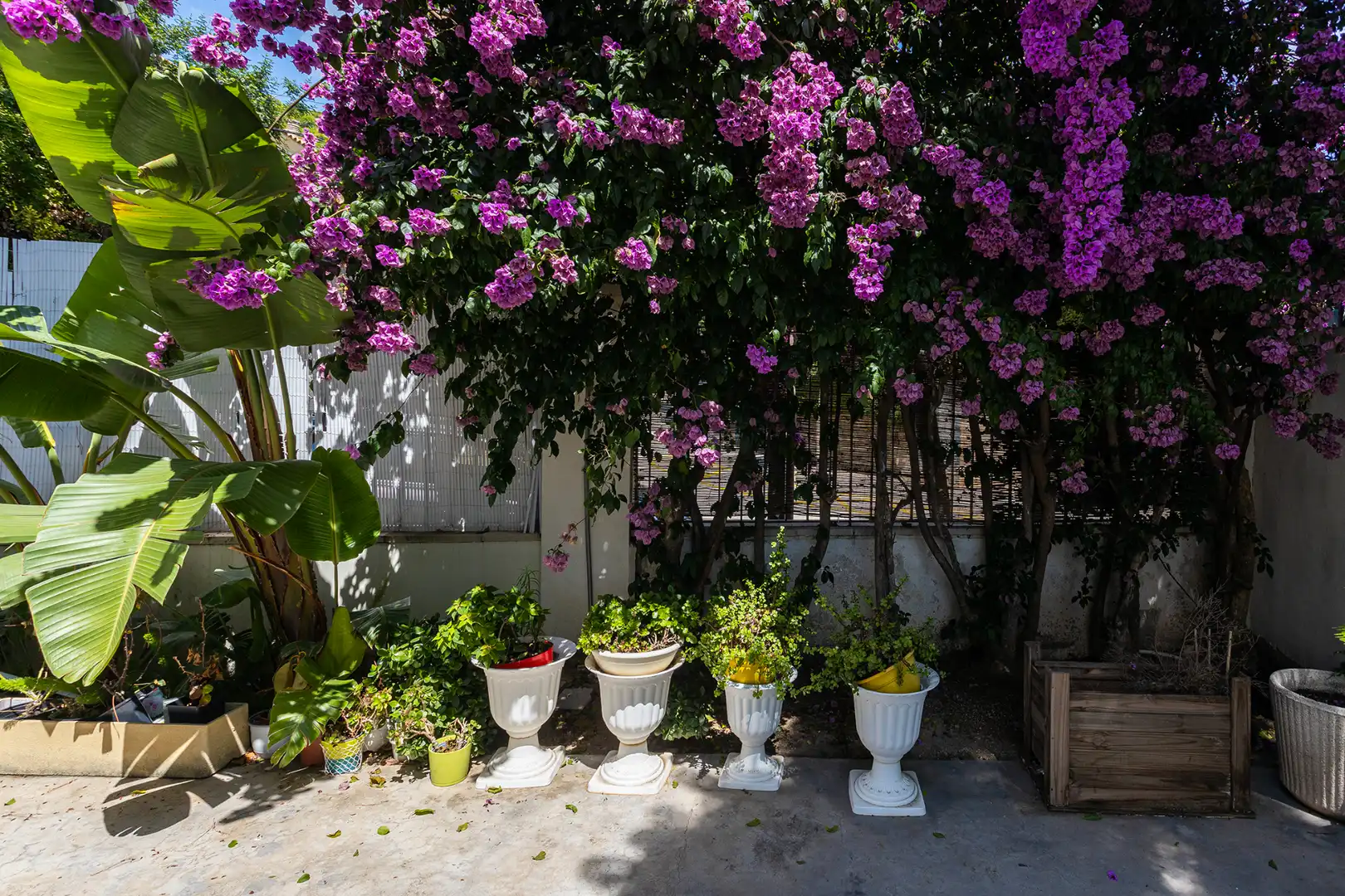 Jardí de Edifici en venda en El Masnou amb Alarma
