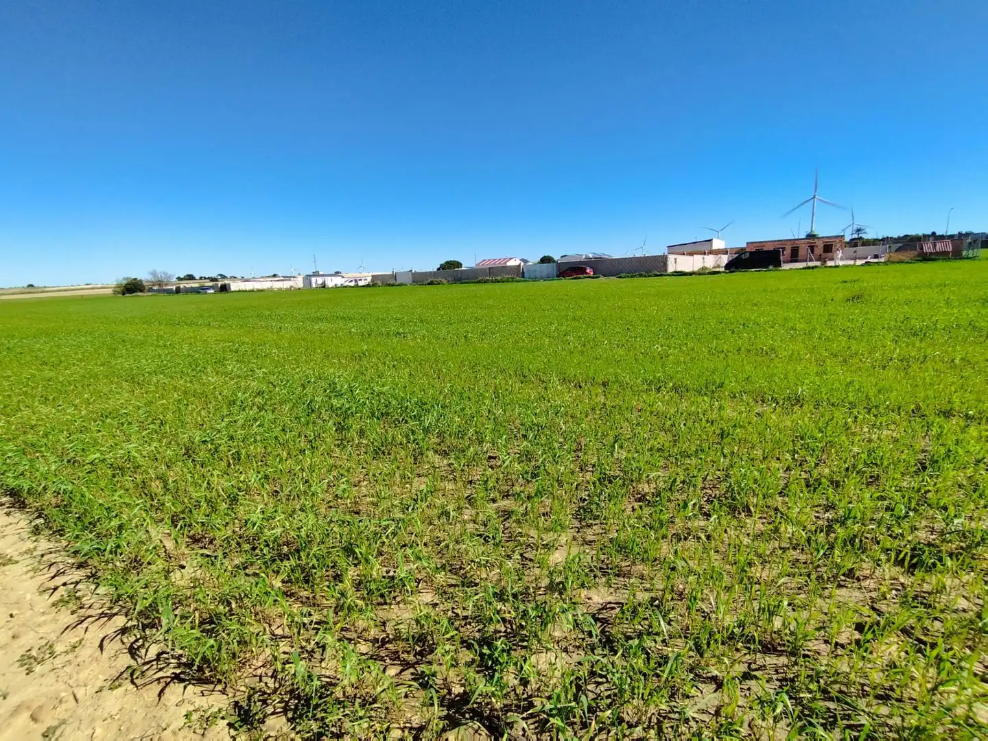 Grundstücke zum Verkauf in Puerto Real