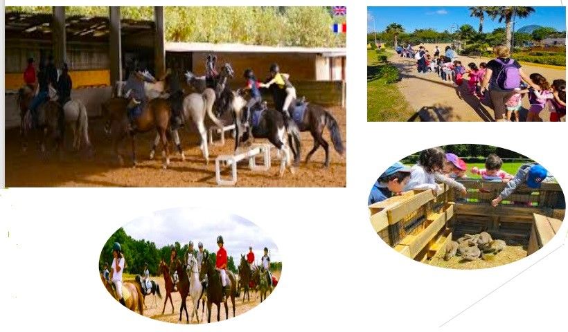 Finca rústica en venda a Camino de la Zarzuela, 115, Centro