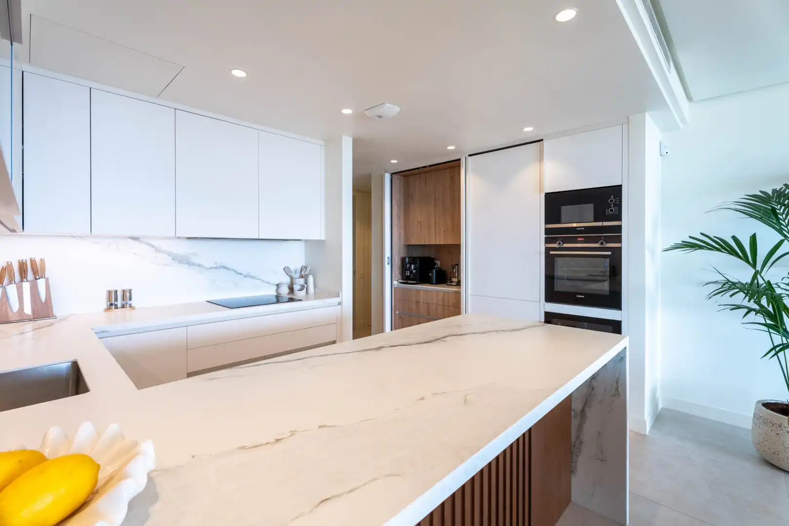Cocina de Planta baja en venta en Ojén con Aire acondicionado, Jardín privado y Terraza