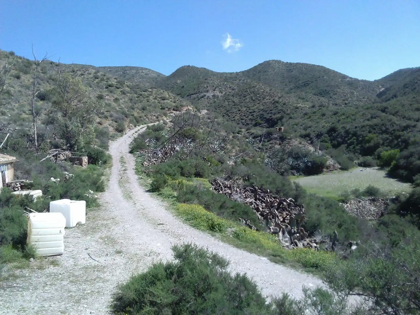 Exterior view of Land for sale in Lorca