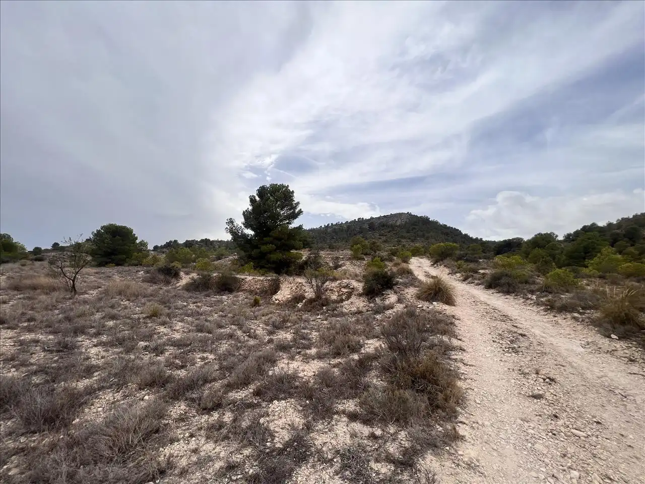 Residential land for sale in Proc. Simplificado, imagen 15