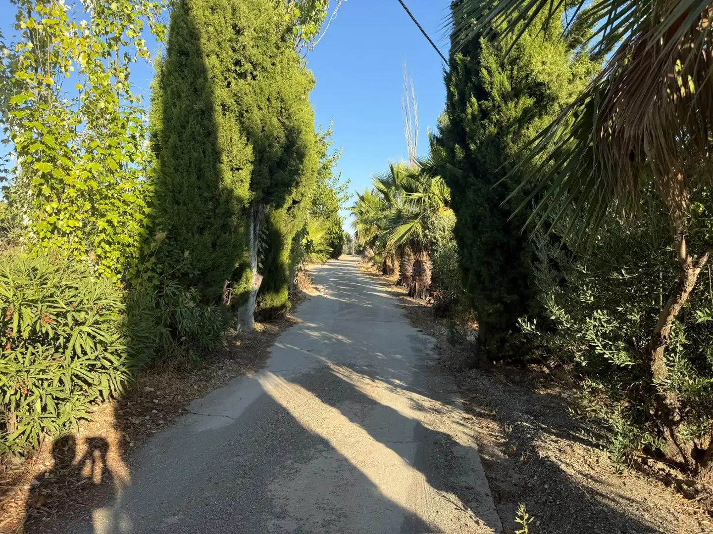 House for sale in Fuentemora, imagen 8