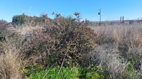 Foto 3 de Terreno en venta en Beniarbeig, Alicante