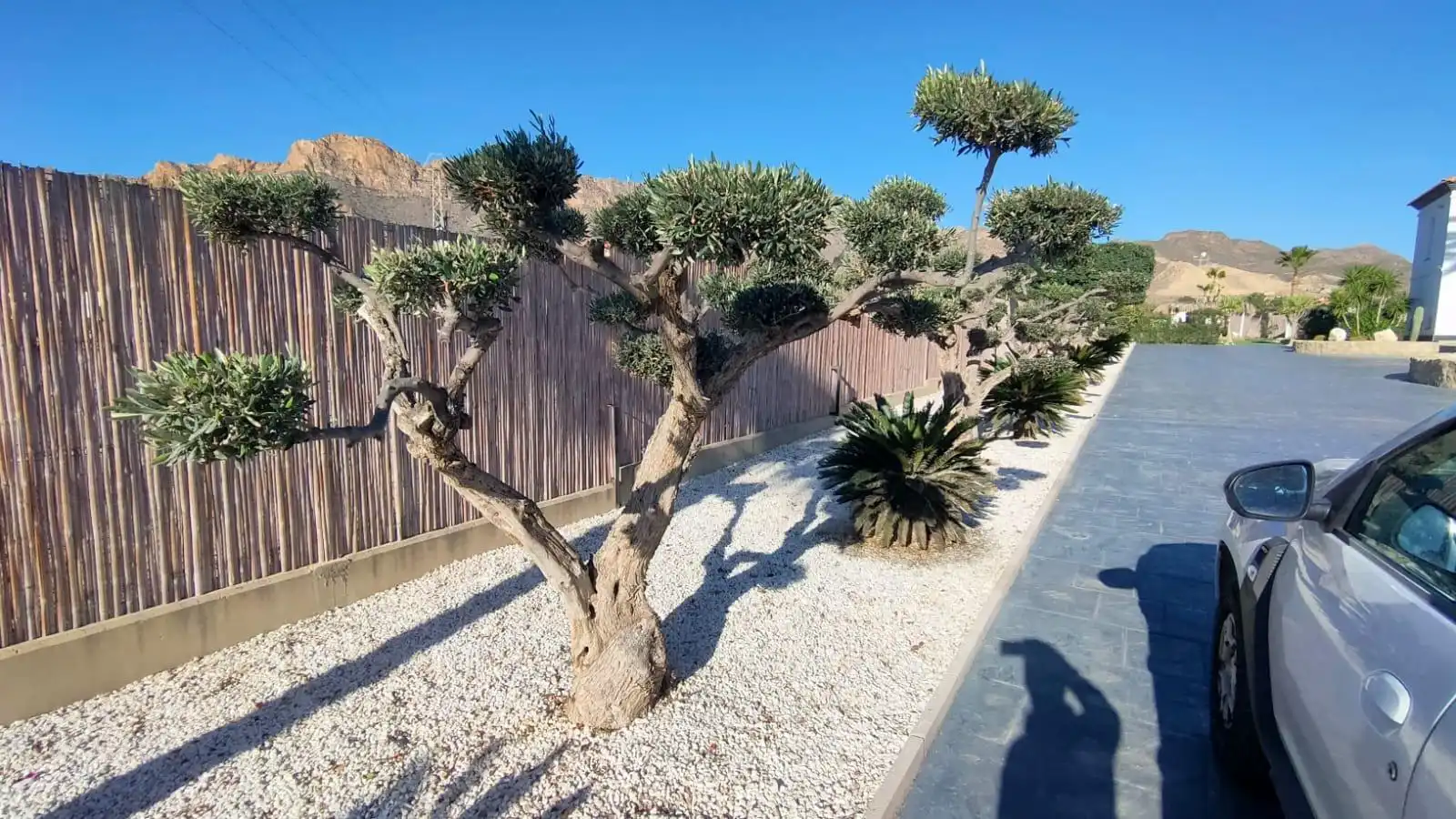 Villa mit Pool zum Verkauf in San Juan de los Terreros, imagen 56