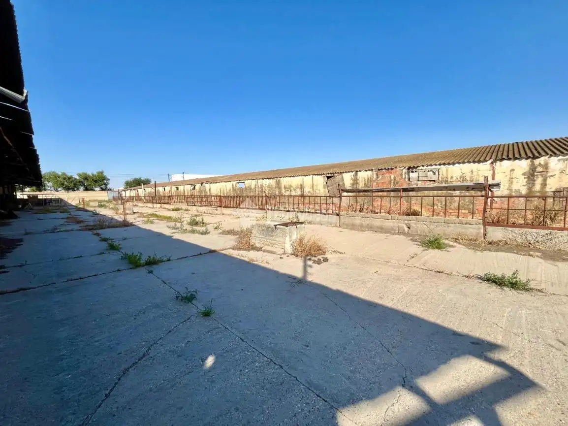 Exterior view of Land for sale in Zaragoza