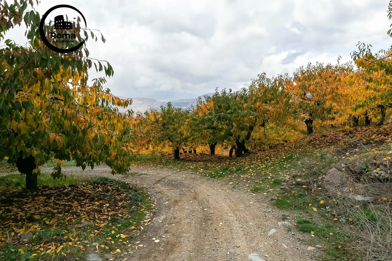 Rural land for sale in Güéjar Sierra, imagen 6