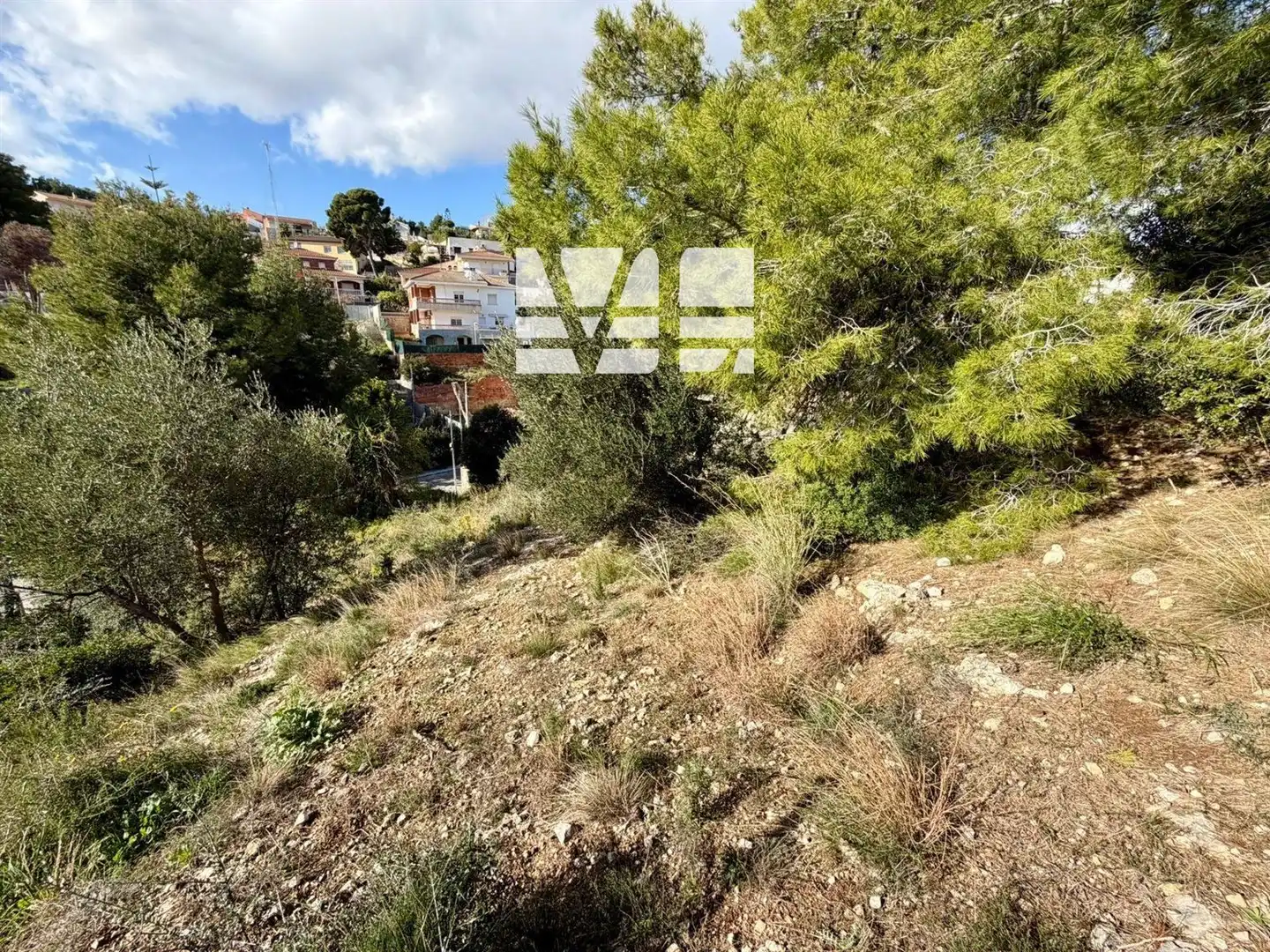 Terreny rústic en venda a Torre Dels Escipions, imagen 6