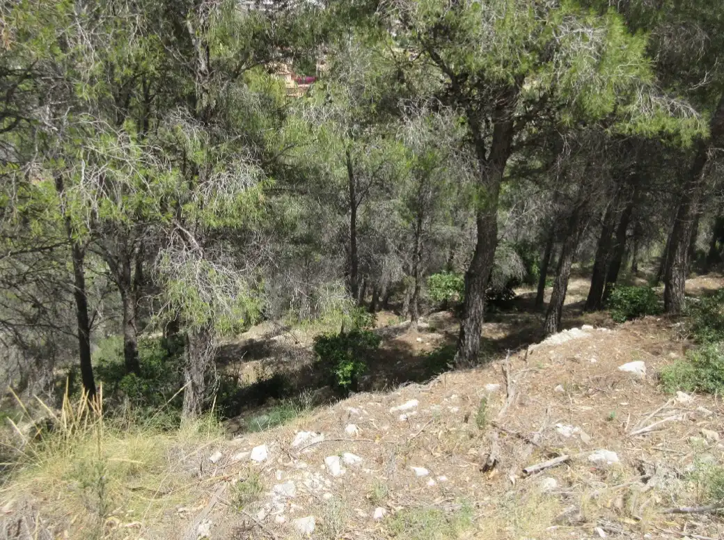 Wohnbaugrundstück zum Verkauf in PRINCIPAL DE LA SIERRA, 113B, imagen 4