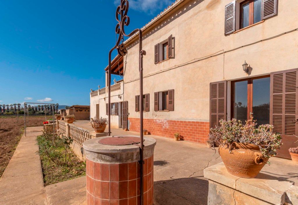 Exterior view of House or chalet for sale in  Palma de Mallorca  with Private garden and Terrace