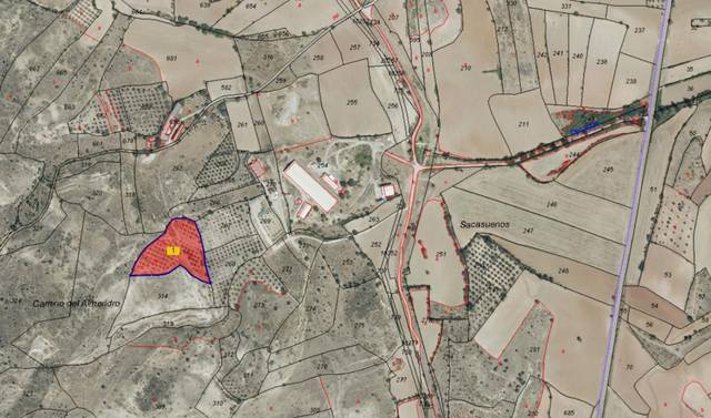 Terreno en Venta en Polígono Parcela 314, 315 en Torrelaguna