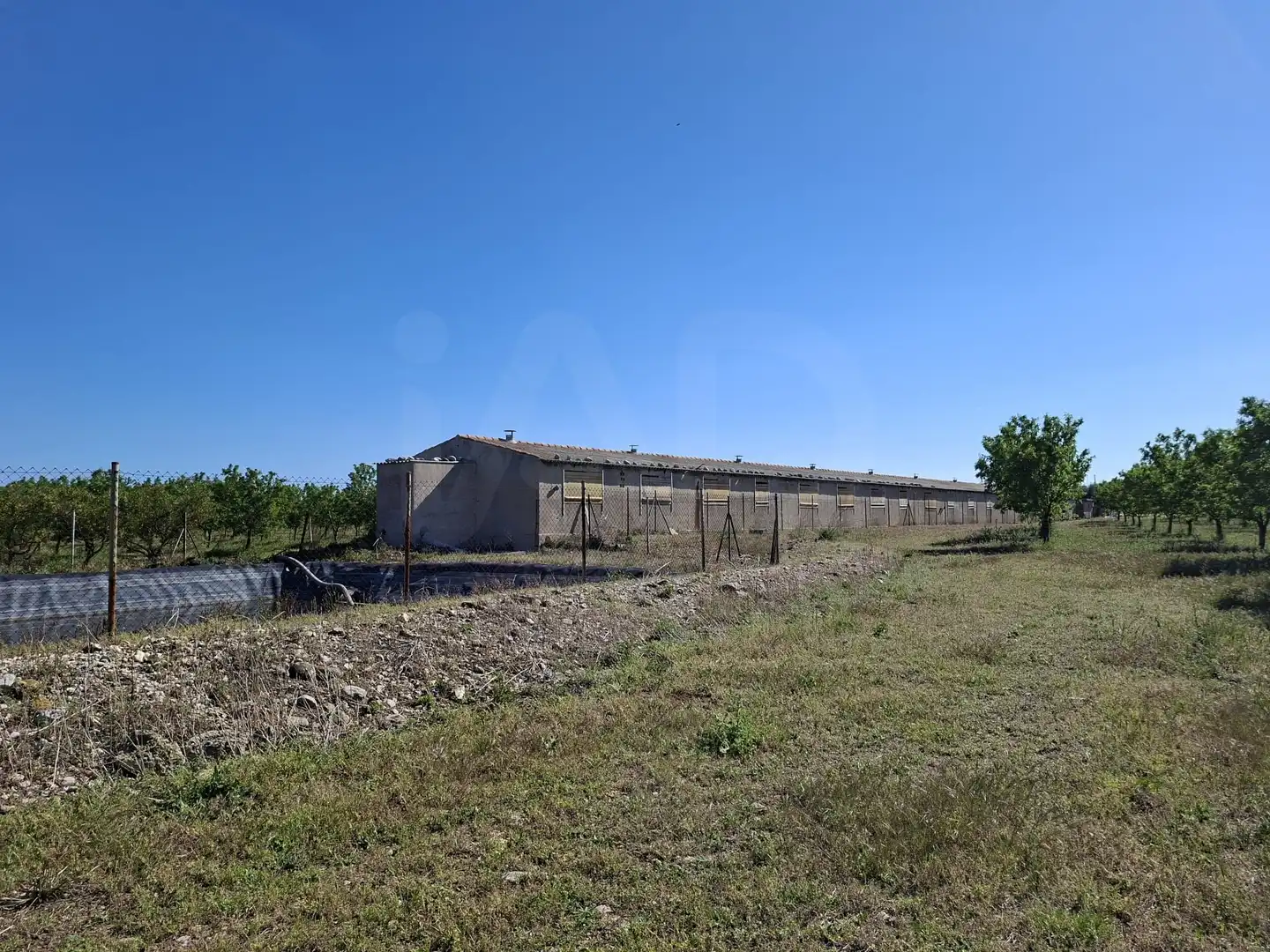 Terreny rústic en venda a Ulldecona, imagen 25
