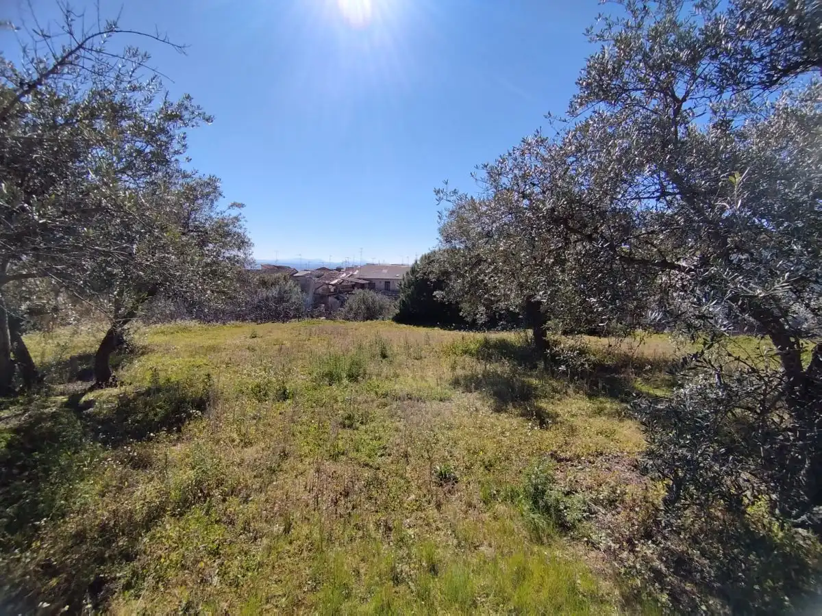 Terreni e lotti in vendita a Jaraíz de la Vera, imagen 4
