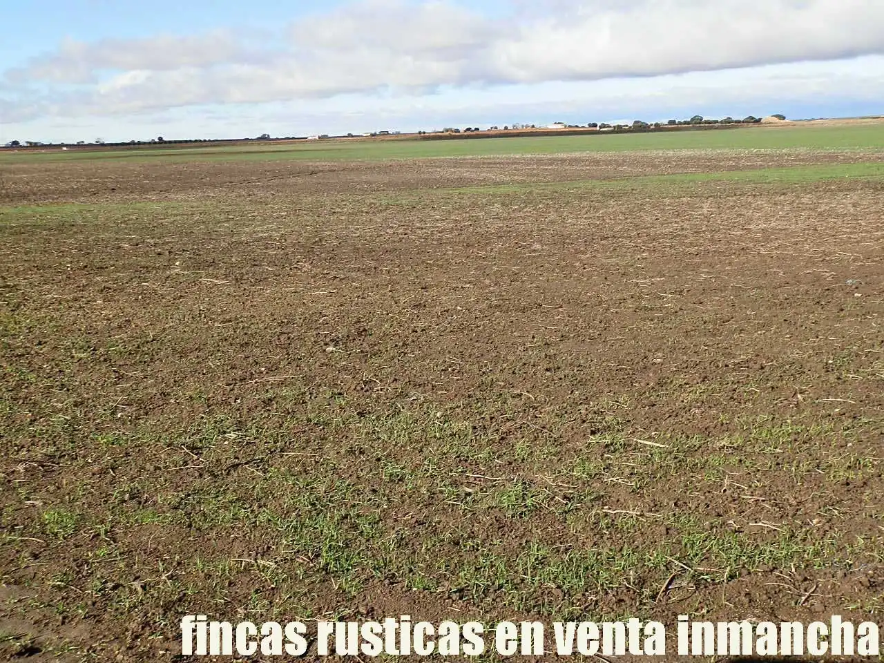 Terreni e lotti in vendita a Las Mesas, imagen 5