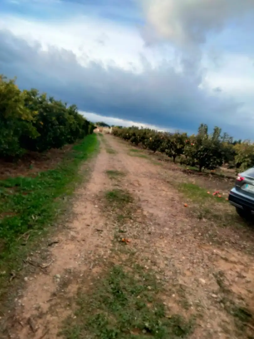 Terrain rustique à vendre à Parque de la Bombilla, imagen 6
