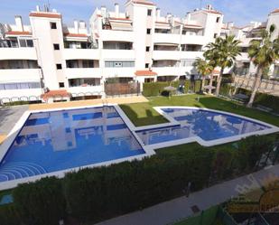 Swimming pool of Planta baja to rent in Molina de Segura  with Terrace