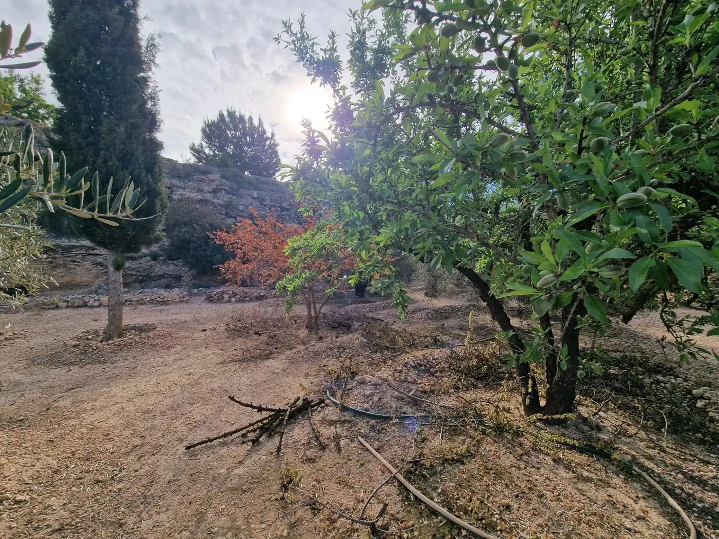 Finca rústica en venda en Hondón de las Nieves / El Fondó de les Neus
