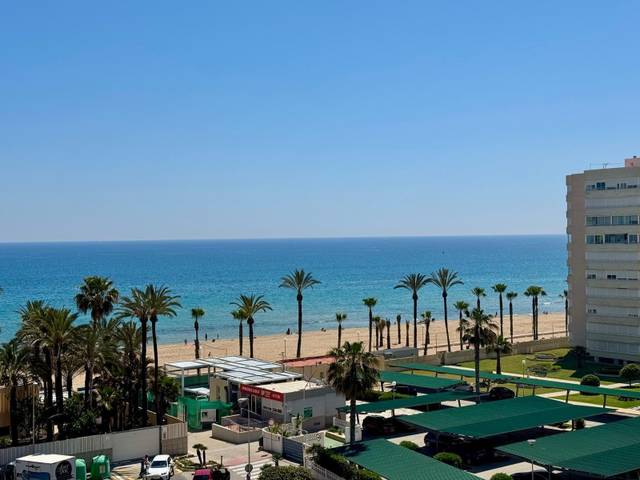 Apartamento en Alquiler en Calle Calle del Músico Agustín Bertomeu en Agua Amarga - Urbanova