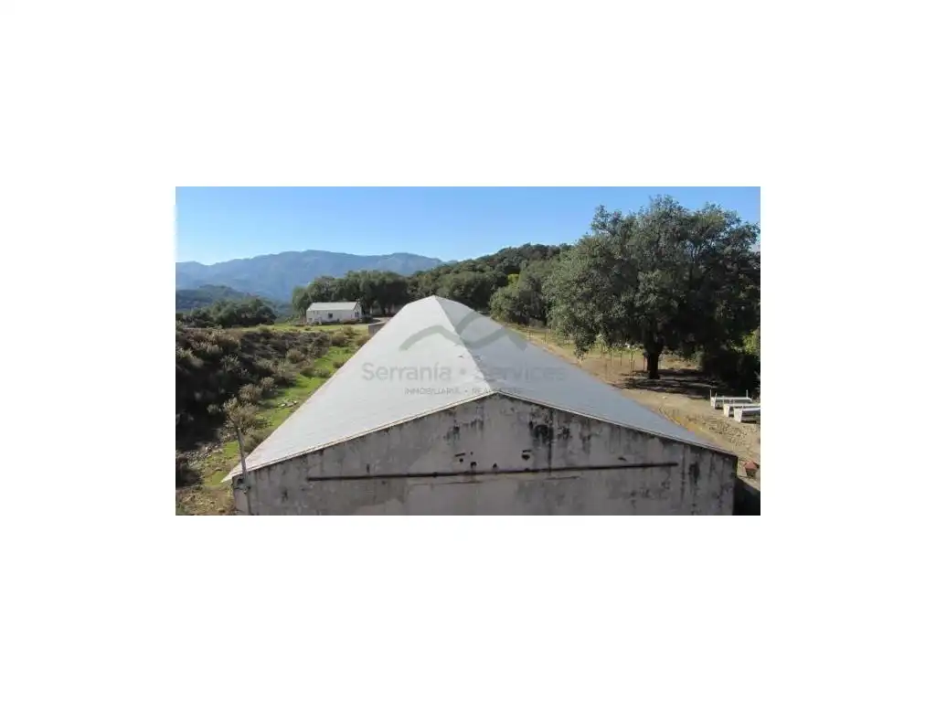 Exterior view of Houses for sale in Alpandeire