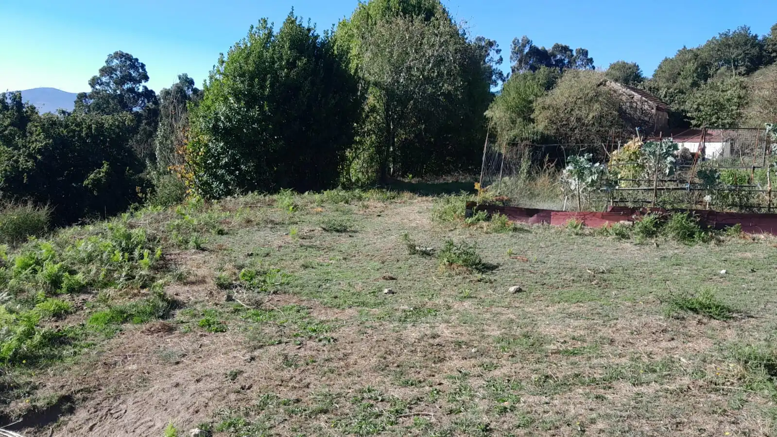 Casa con jardín en venta en A Cañiza, imagen 4