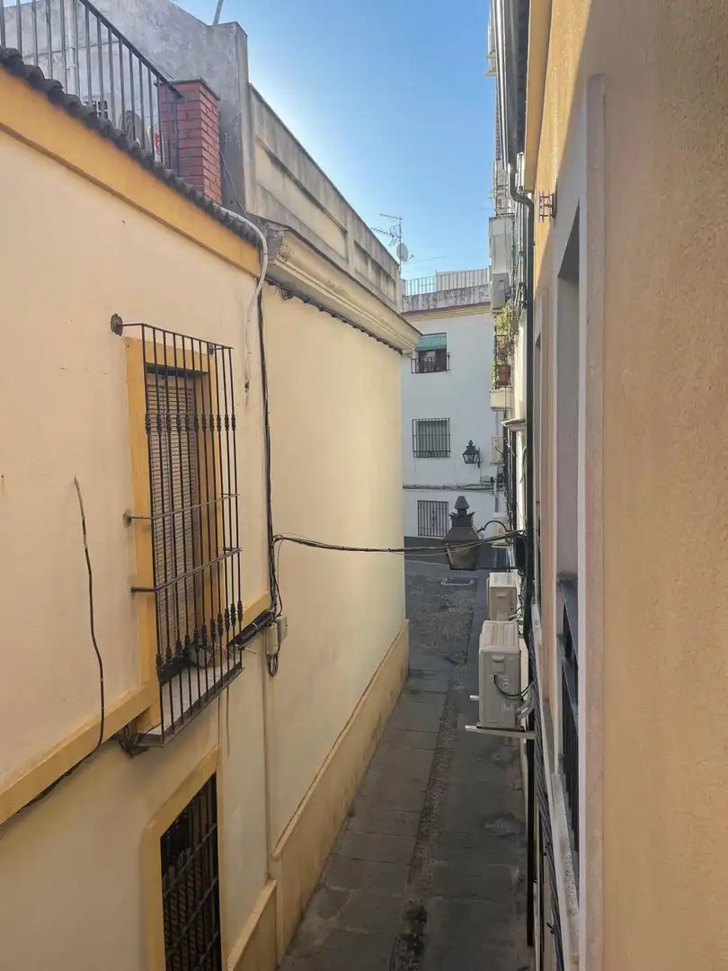 Pis de lloguer a Centro, imagen 12