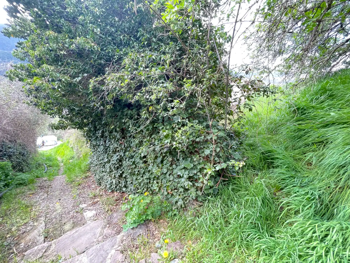 Residential for sale in Soriguera