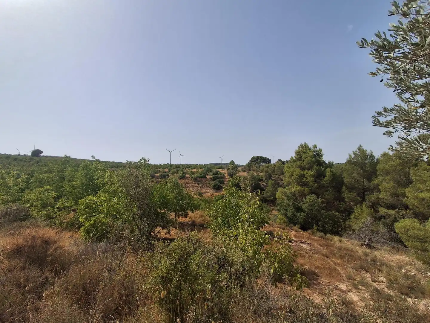 Rural land for sale in Gandesa, imagen 51