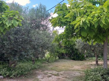 Casa con giardino in vendita a Calle Jatiel