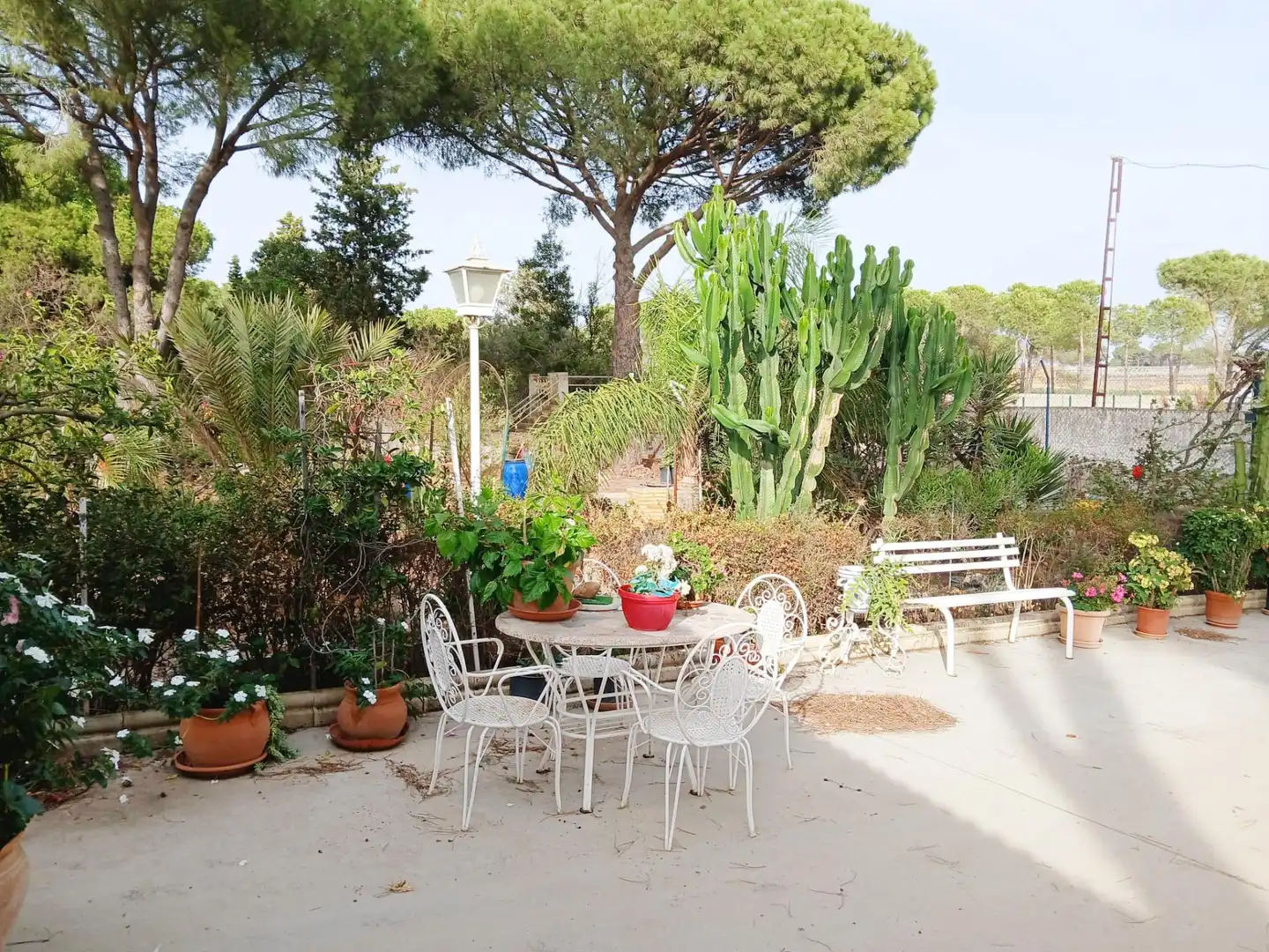 Casa rústica amb jardí en venda a Bonares, imagen 13