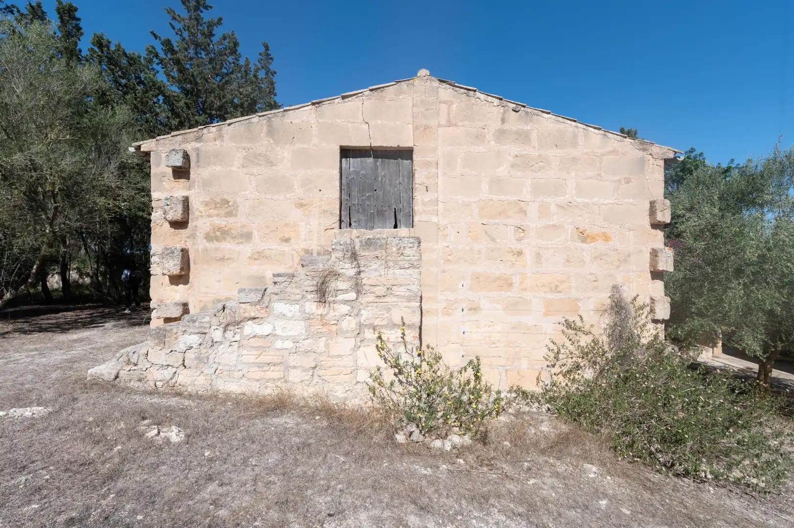 Casa rustica con terrazza in vendita a Sineu, imagen 53