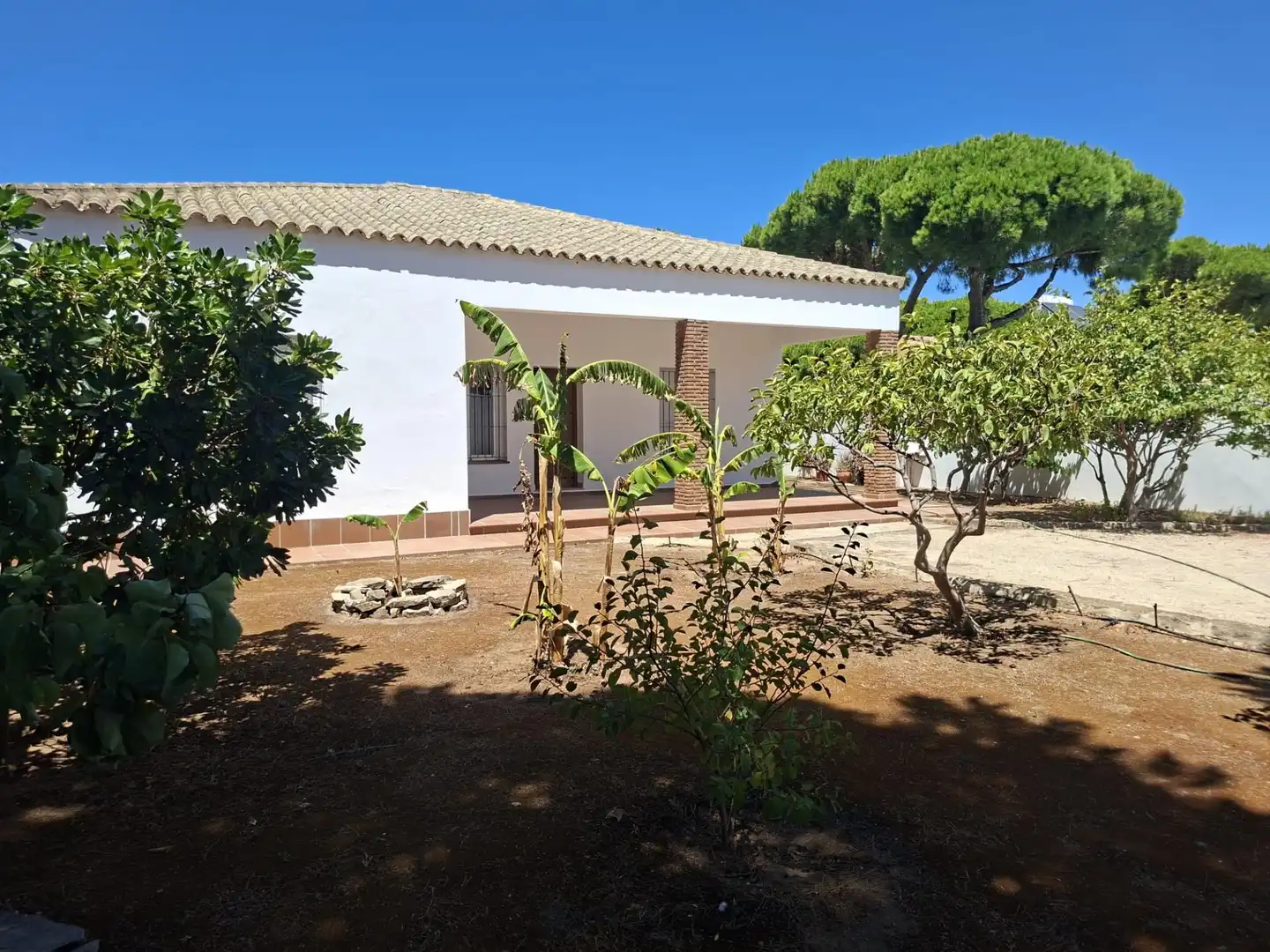 Jardí de Casa o xalet en venda en Chiclana de la Frontera amb Jardí privat